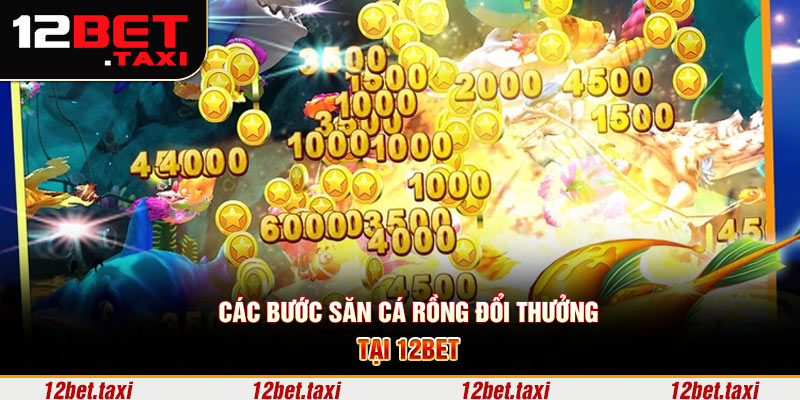Các bước săn cá rồng đổi thưởng tại 12BET Các bước săn cá rồng đổi thưởng tại 12BET