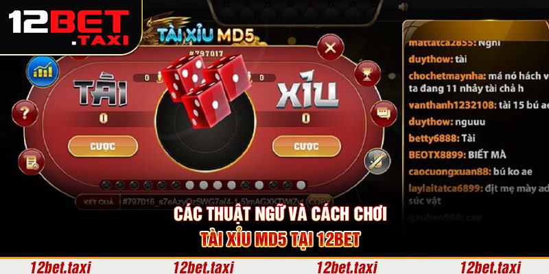 Các thuật ngữ và cách chơi tài xỉu MD5 tại 12BET
