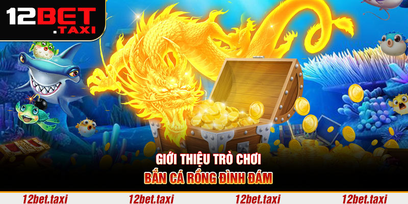 Giới thiệu trò chơi bắn cá rồng đình đám Giới thiệu trò chơi bắn cá rồng đình đám