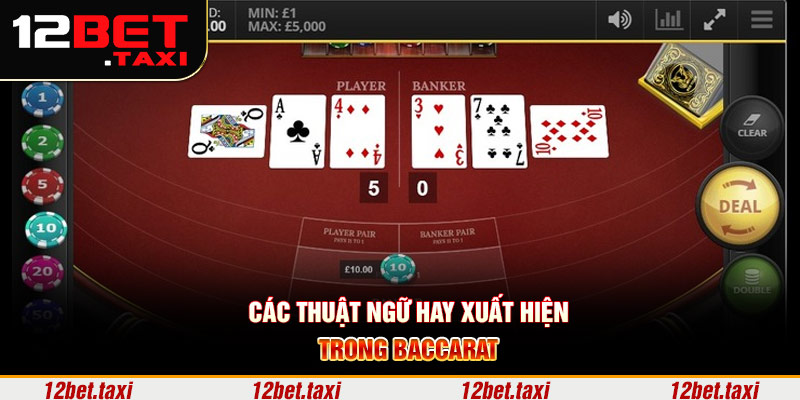 Các thuật ngữ hay xuất hiện trong Baccarat
